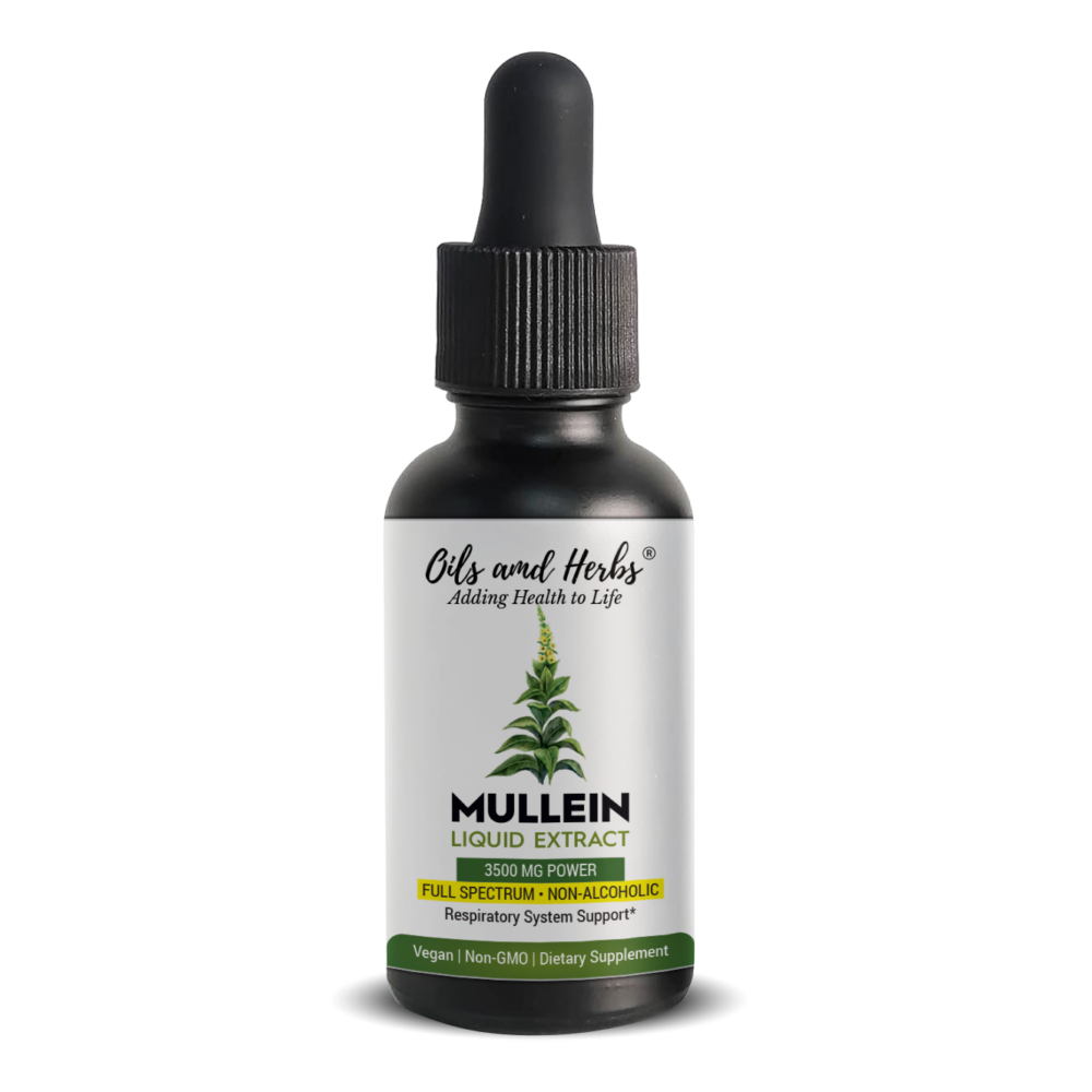 Oils & Herbs - Mullein Leaf Tincture – Alcohol-Free Liquid Extract