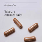 KIKI HEALTH - Multi-Mushroom Extract Blend, Organic - 60 Vegicaps