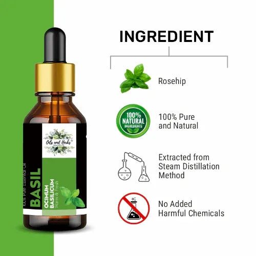 Oils & Herbs – Natural Basil Essential Oil – 100% Pure & Therapeutic Grade - The Wellness Store®