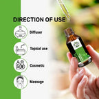 Oils & Herbs – Natural Basil Essential Oil – 100% Pure & Therapeutic Grade - The Wellness Store®