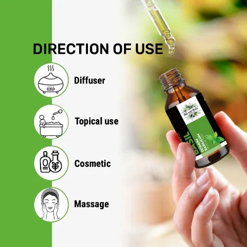 Oils & Herbs – Natural Basil Essential Oil – 100% Pure & Therapeutic Grade - The Wellness Store®