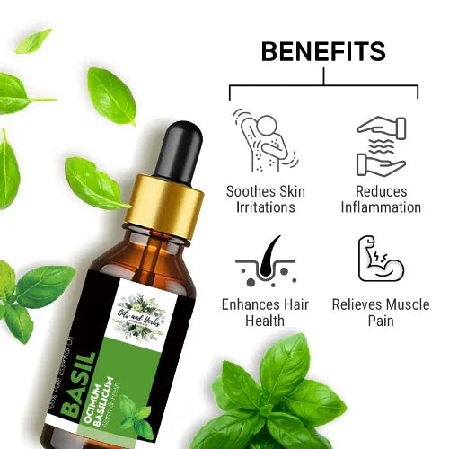 Oils & Herbs – Natural Basil Essential Oil – 100% Pure & Therapeutic Grade - The Wellness Store®