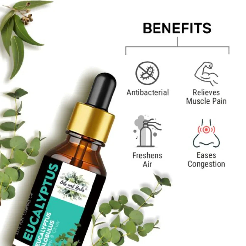 Oils & Herbs – Natural Eucalyptus Essential Oil – 100% Pure & Therapeutic Grade - The Wellness Store®