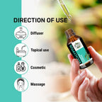 Oils & Herbs – Natural Eucalyptus Essential Oil – 100% Pure & Therapeutic Grade - The Wellness Store®