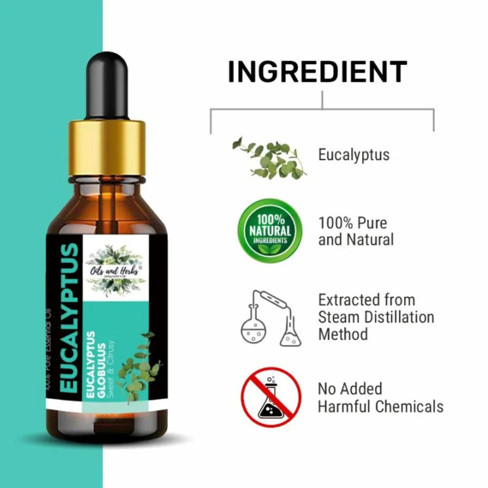 Oils & Herbs – Natural Eucalyptus Essential Oil – 100% Pure & Therapeutic Grade - The Wellness Store®