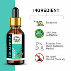Oils & Herbs – Natural Eucalyptus Essential Oil – 100% Pure & Therapeutic Grade - The Wellness Store®