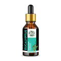 Oils & Herbs – Natural Eucalyptus Essential Oil – 100% Pure & Therapeutic Grade - The Wellness Store®