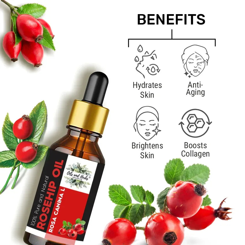 Oils & Herbs – Rosehip Essential Oil – 100% Pure & Natural - The Wellness Store®