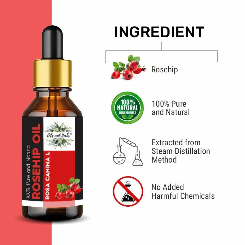 Oils & Herbs – Rosehip Essential Oil – 100% Pure & Natural - The Wellness Store®
