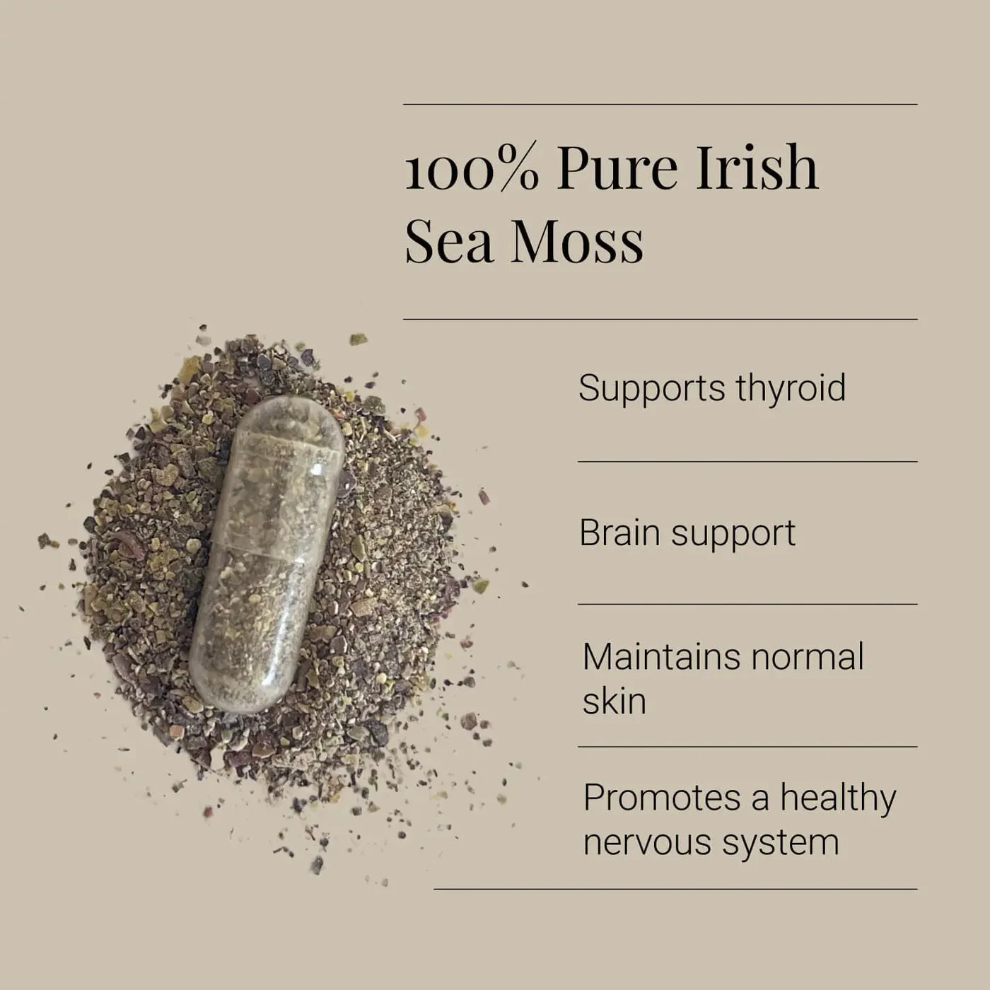 KIKI HEALTH - Sea Moss Irish, Organic - 90 Vegicaps