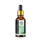 Oils & Herbs – True Camphor Essential Oil – 100% Pure and Natural - The Wellness Store®