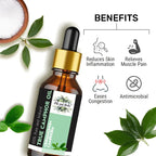 Oils & Herbs – True Camphor Essential Oil – 100% Pure and Natural - The Wellness Store®