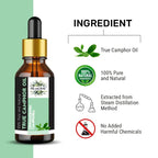 Oils & Herbs – True Camphor Essential Oil – 100% Pure and Natural - The Wellness Store®