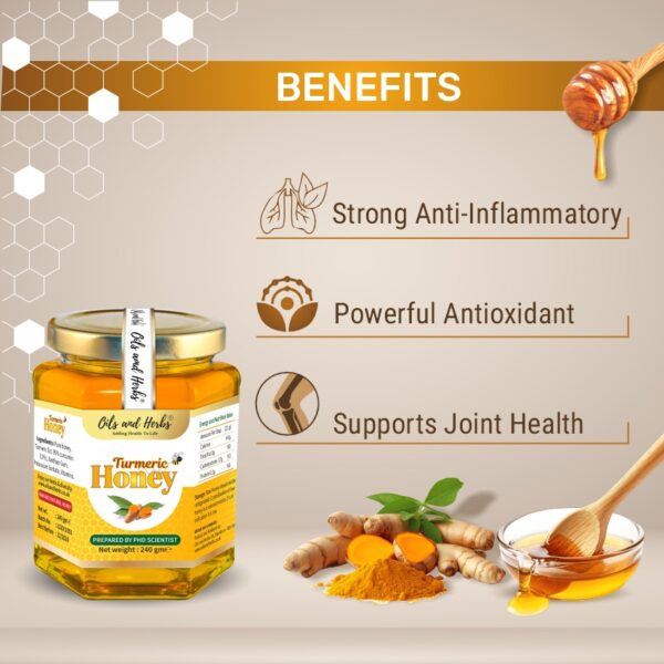 Oils & Herbs - Turmeric Honey with 95% Curcumin - 240g
