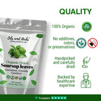 Oils & Herbs – Natural Soursop Dried Leaves & Tea Bags – Herbal Tea Form - The Wellness Store®