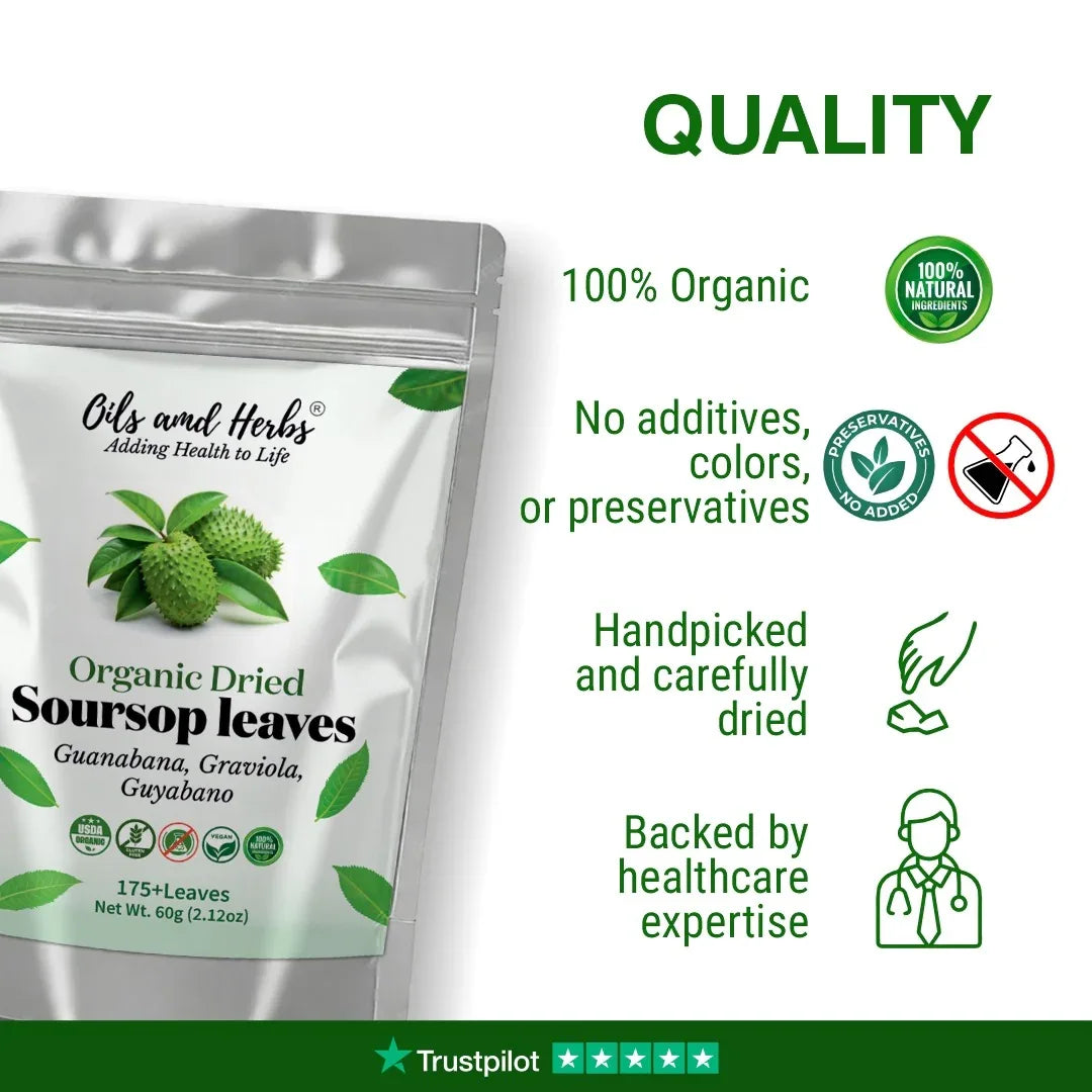Oils & Herbs – Natural Soursop Dried Leaves & Tea Bags – Herbal Tea Form - The Wellness Store®