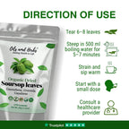 Oils & Herbs – Natural Soursop Dried Leaves & Tea Bags – Herbal Tea Form - The Wellness Store®