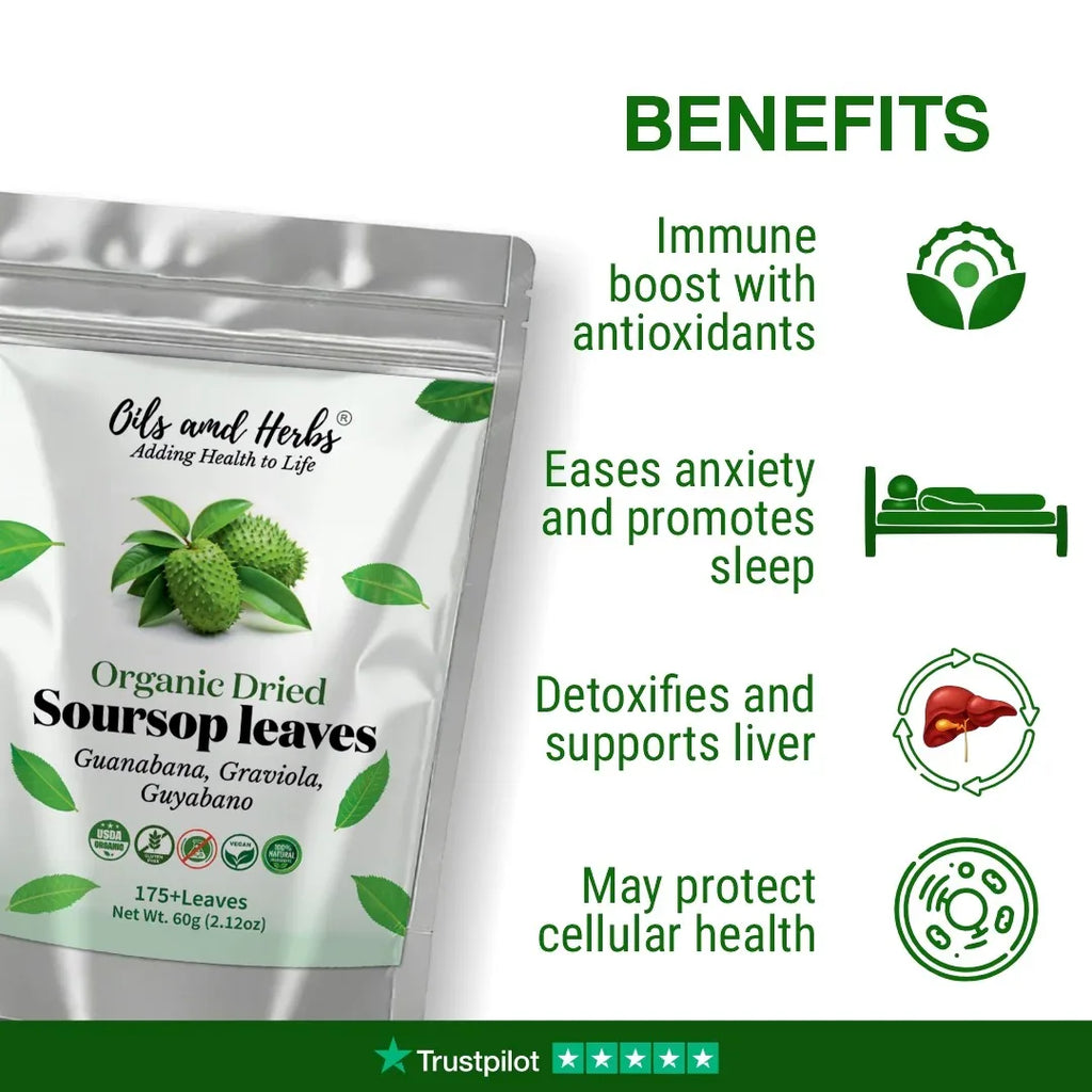 Oils & Herbs – Natural Soursop Dried Leaves & Tea Bags – Herbal Tea Form - The Wellness Store®