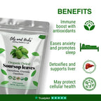 Oils & Herbs – Natural Soursop Dried Leaves & Tea Bags – Herbal Tea Form - The Wellness Store®