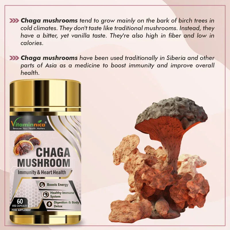 Vitaminnica Chaga Mushroom- 60 Capsules - The Wellness Store®
