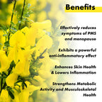 Vitaminnica Evening Primrose Oil 500mg - 60 Capsules - The Wellness Store®