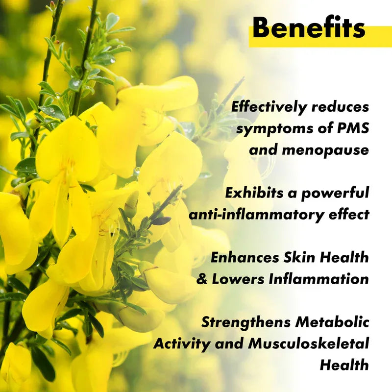 Vitaminnica Evening Primrose Oil 500mg - 60 Capsules - The Wellness Store®