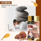 Vitaminnica Reishi Mushroom- 60 Capsules - The Wellness Store®
