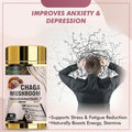 Vitaminnica Chaga Mushroom- 60 Capsules - The Wellness Store®
