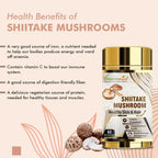 Vitaminnica Shiitake Mushroom- 60 Capsules - The Wellness Store®