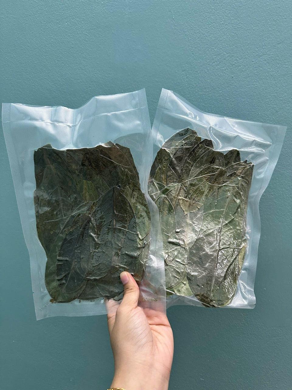 Oils & Herbs – Natural Soursop Dried Leaves & Tea Bags – Herbal Tea Form - The Wellness Store®