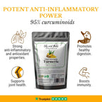 Oils & Herbs - High Strength Turmeric Extract Powder 95% Curcuminoids - 100g Powder